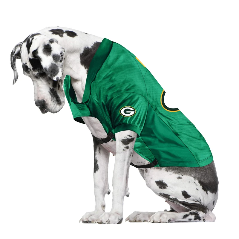 Littlearth Green Bay Packers NFL Stretch Pet Jerseys for Big Dogs - Image 1