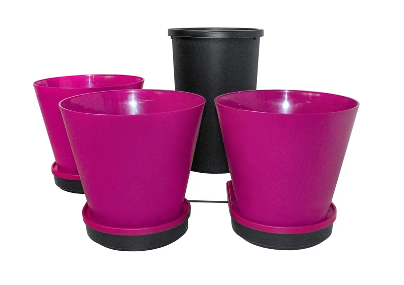 GoGro Purple Self-Watering System
