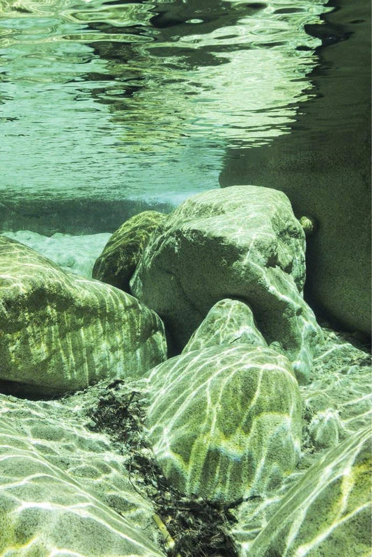 Scenolia Acrylic Glass Board PRUNELLI, Printed with Support White, 60 x 90 cm