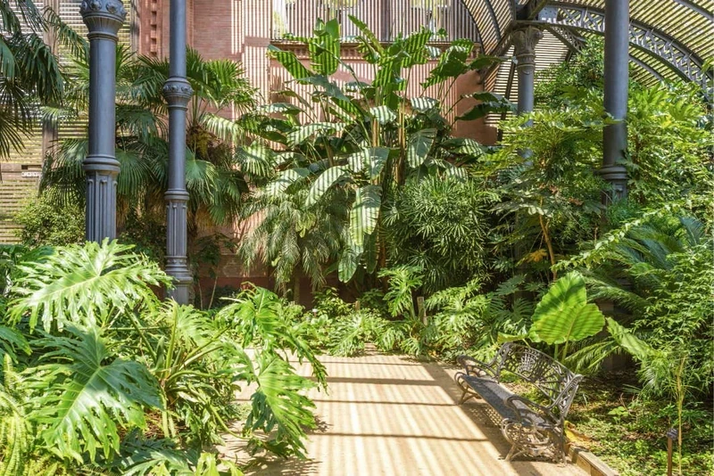 Scenolia Barcelona Garden Canvas Picture 90 x 60 cm Decorative Print on High Quality Textile Canvas