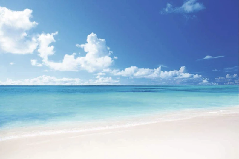 Scenolia Acrylic Glass Board, Print with Support White, 90 x 60 cm