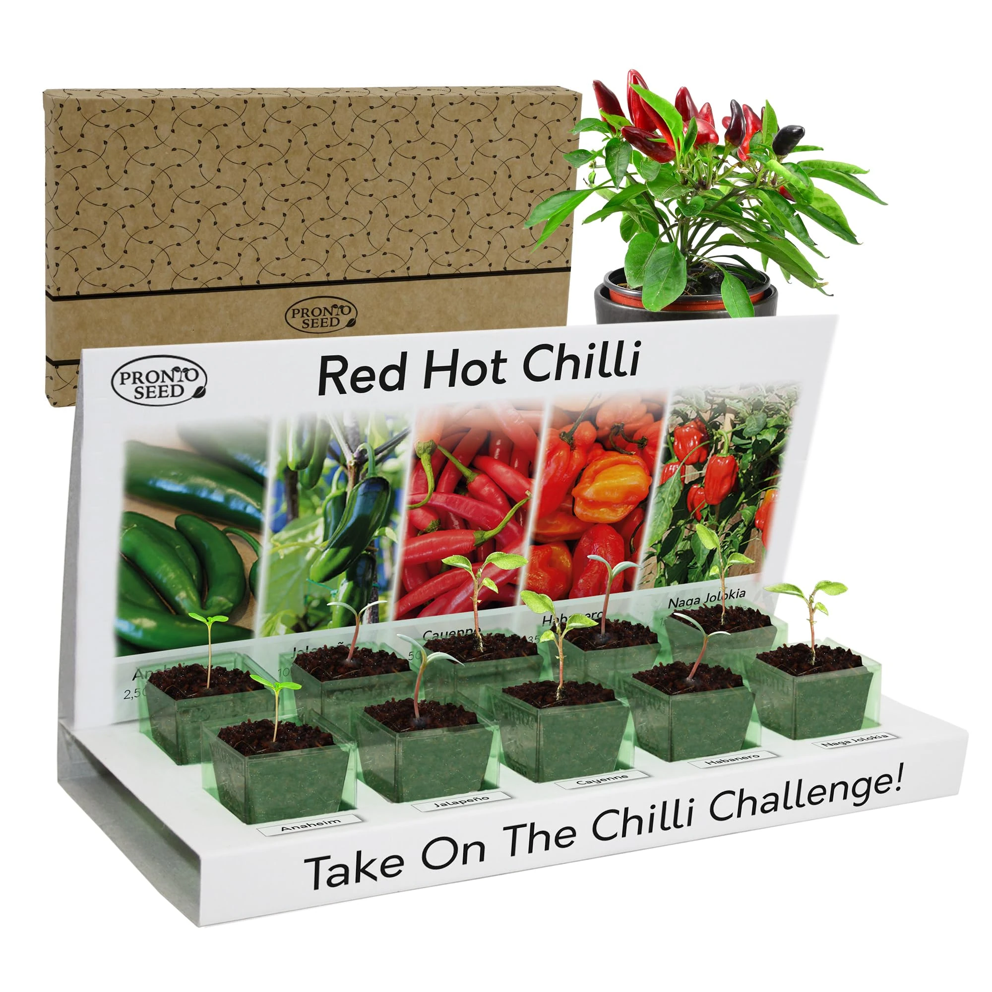 Pronto Seed Grow Your Own Chilli Plant Kit with 5 Seeds Varieties - Indoor Growing Set with Sustainable Packaging Display - Gift for Women, Men - Beginner-Friendly (Chilli Kit)