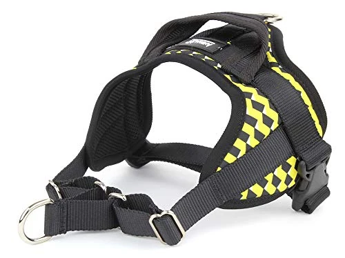 Animalinmulti harness size xxl turquoise