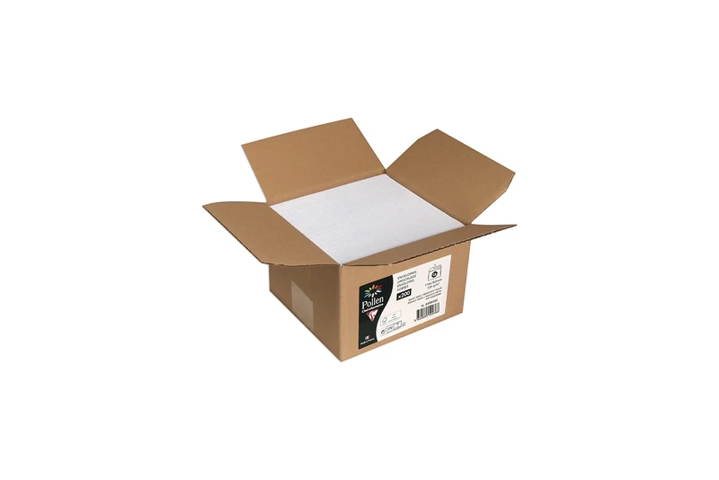 Clairefontaine 550036C Carton of 200 Self-Adhesive Envelopes C6 (11,4x16,2cm) 120g Iridescent White Invitation Event Correspondence Range Pollen Premium Paper