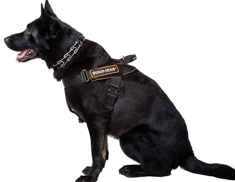 Dingo Gear Multifunctional Harness For Dog In Work, Guard Dog Training, K9 and Ipo, Cobra System Handmade Black S03197, XL