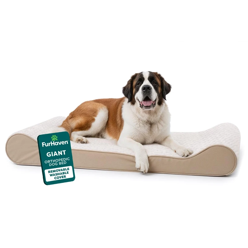 FurHaven Orthopedic Dog Bed for Extra Large Dogs w/Removable Washable Cover, For Dogs Up to 180 lbs - Ultra Plush Faux Fur & Suede Luxe Lounger Contour Mattress - Cream, Giant/XXXL