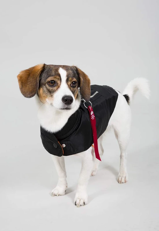 Alpha Industries Dog MA-1 Nylon pet Jacket Flying for Dogs Black