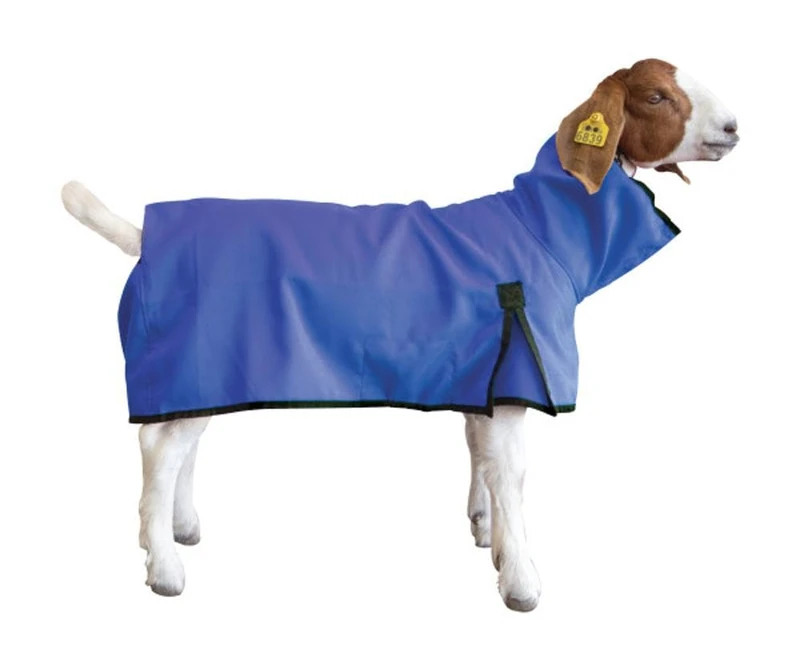 Weaver Leather Unisex's Goat Blanket, Large, Blue, L