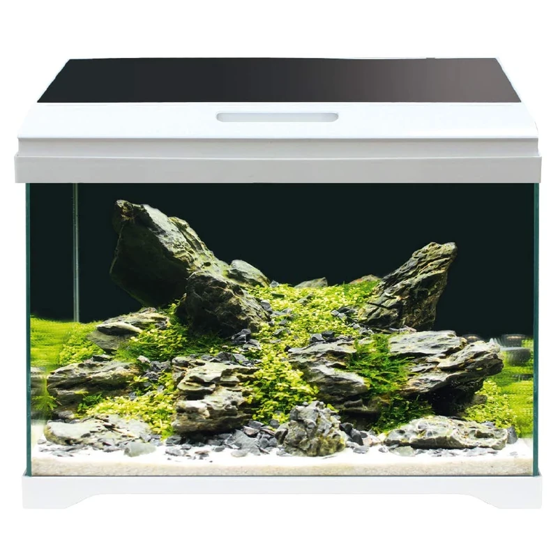 AMTRA MODERN TANK 40 LED - Aquarium complete with LED lighting and internal filter / cm 42,5x23,5x36,5 / 28 Liters