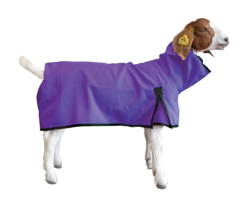 Weaver Leather Goat Blanket, Large, Purple