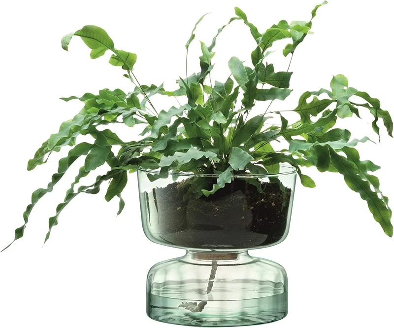LSA Canopy Self Watering Planter H13cm Recycled/Part Optic | 1 unit | Recycled Glass | CQ15