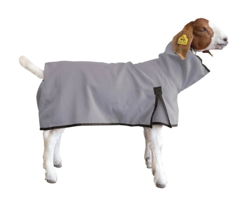 Goat Blanket, Small, Gray
