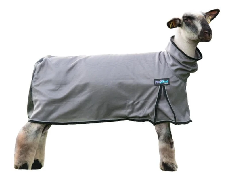 ProCool™ Sheep Blanket with Reflective Piping, Medium, Gray