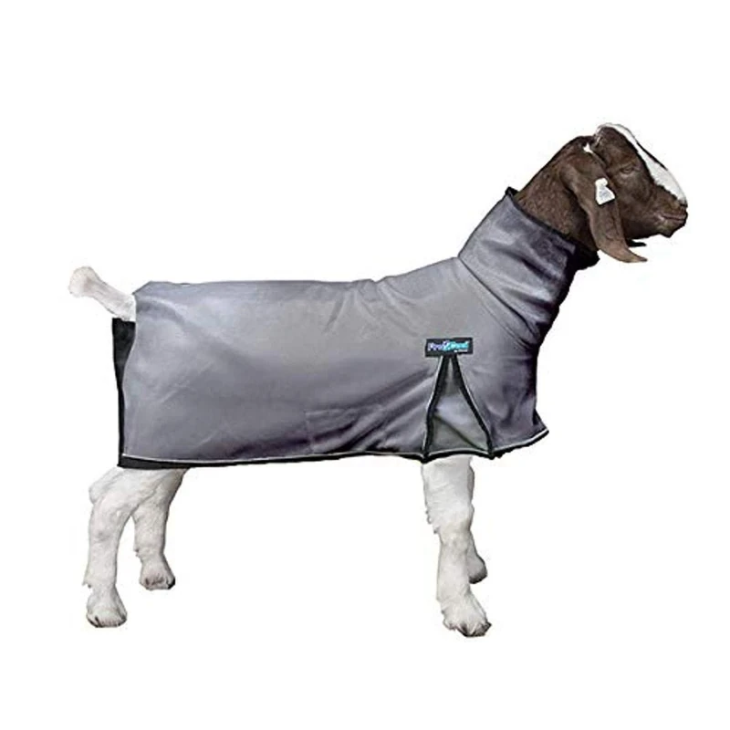 ProCool™ Goat Blanket with Reflective Piping, Small, Gray