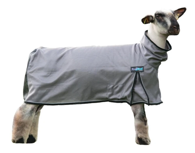 ProCool™ Sheep Blanket with Reflective Piping, Large, Gray
