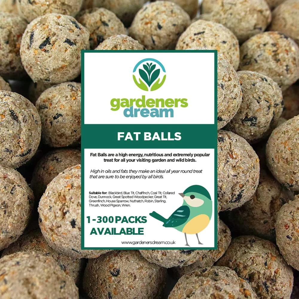 GardenersDream Suet Fat Balls | Premium Garden Wild Bird Food | Enhanced Year-Round Formula | Naturally Blended, High in Energy & Protein-Rich Feed | Full of Nutritious Fat Fibre & Moisture (300 Pack)