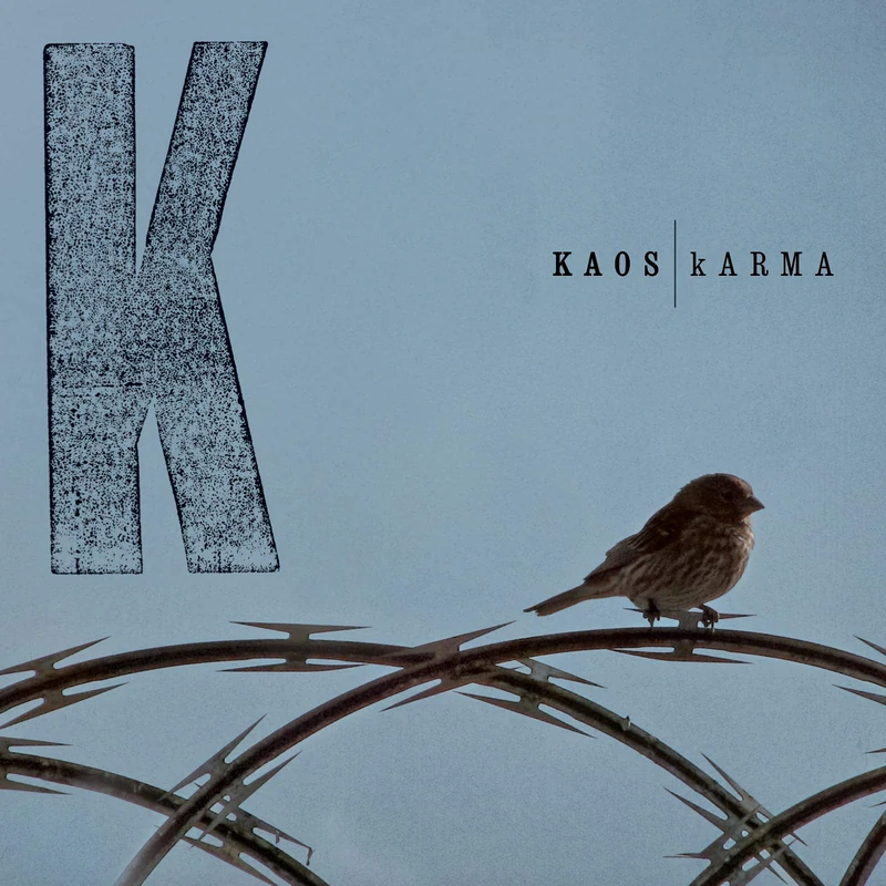 Karma [VINYL]