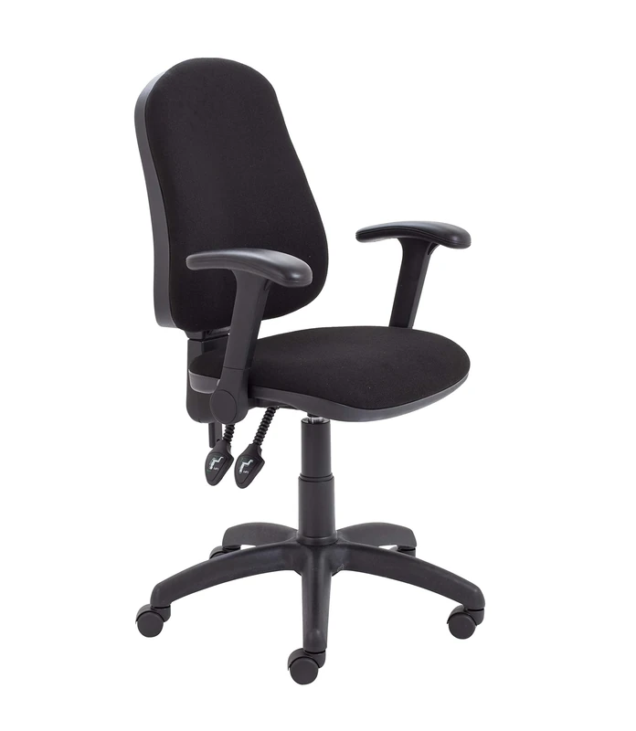 Office Hippo 2 Lever Office Chair with Height Adjustable Flip-Up Arms, Computer Desk Chair with Curved Back, Swivel Chair with Adjustable Backrest, Holds Up to 115kg, 2 Year Wty - Black