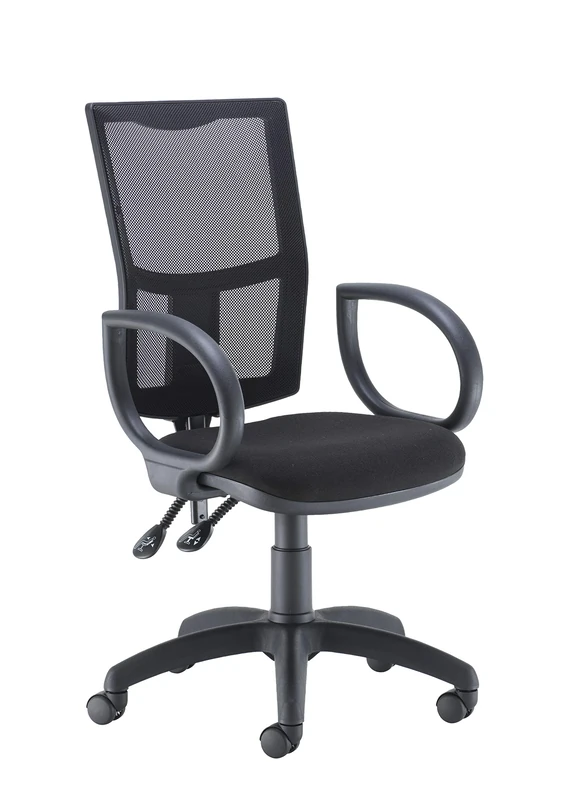 Office Hippo Mesh Back Desk Chair, Ergonomic Home & Office Chair With Height Adjustable Seat, Fixed Arms & Lumbar Support For Extra Comfort, Computer Chair For Daily Use - Black