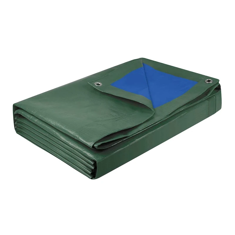 Cogex 082723 Heavy Tarpaulin 6 x 10 x 6 x 10 m, Blue/Green