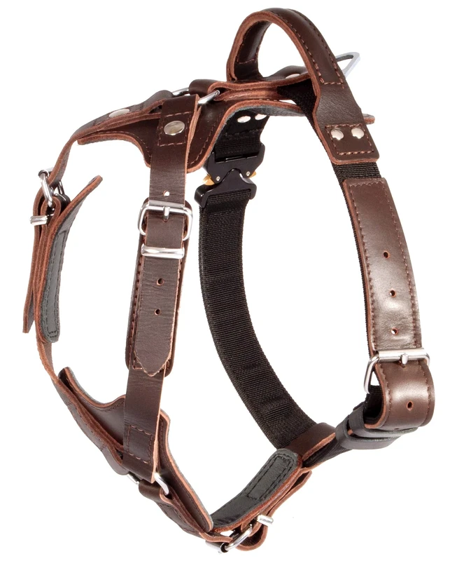 DINGO GEAR Elite Dog Harness, Handcrafted from Genuine Leather, Durable and Strong, Suitable for Dog Walks, Training, K9, IGP, and Military Training, Size L, Dark Brown (S06-18)