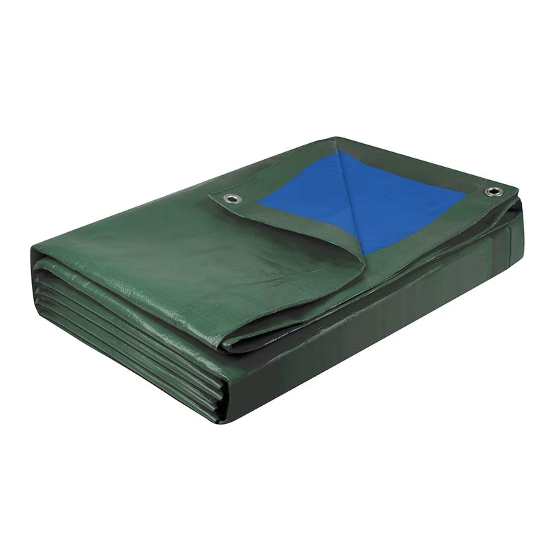 Cogex 082722 Heavy Tarpaulin 5 x 8 x 8 m, Blue/Green - Image 1