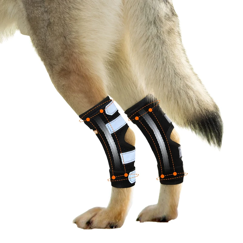 NeoAlly Dog Braces for Back Legs Super Supportive with Dual Metal Spring Strips to Stabilize and Support Dog Hind Legs, Help Dogs with Injuries Sprains Arthritis ACL CCL (Small Pair)