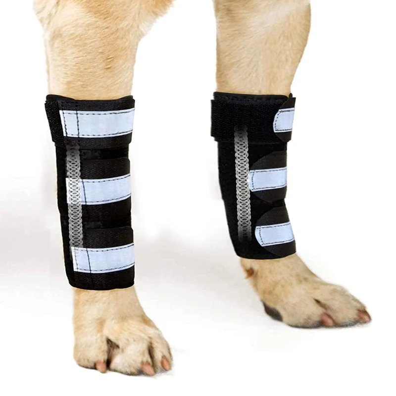 NeoAlly Pair Dog Front Leg Braces Super Supportive with Metal Spring Strips to Stabilize and Support Canine Front Leg Wrist Carpal, Prevent Leg Injuries Sprains Arthritis (L/XL)