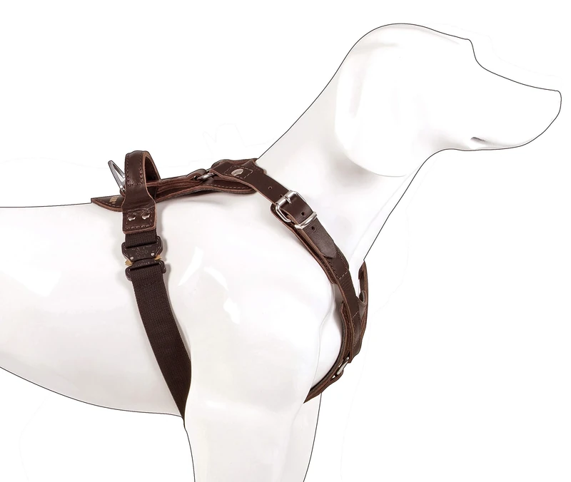 DINGO GEAR Exclusive Dog Harness, Handmade of Noble Leather, Polyamide Padding, for Dogs with a Chest Circumference From 60 to 75 cm, Dark Brown, Size M (S01-17)