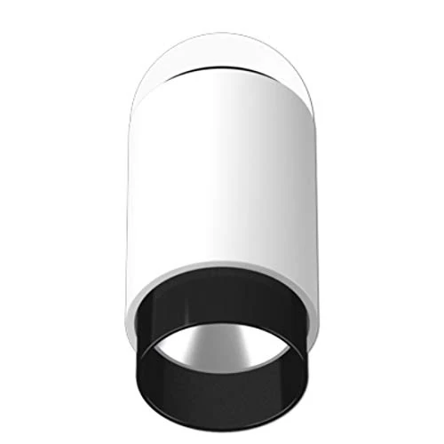 JUNG PL S1 WD05 WW SW Projector, White Alpine (White) - Black Housing (Black) - Anti-Glare Ring