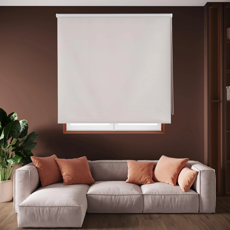 Blindecor Draco - 100 Percent Opaque Roller Blind, 140x230 cm, Silver Grey