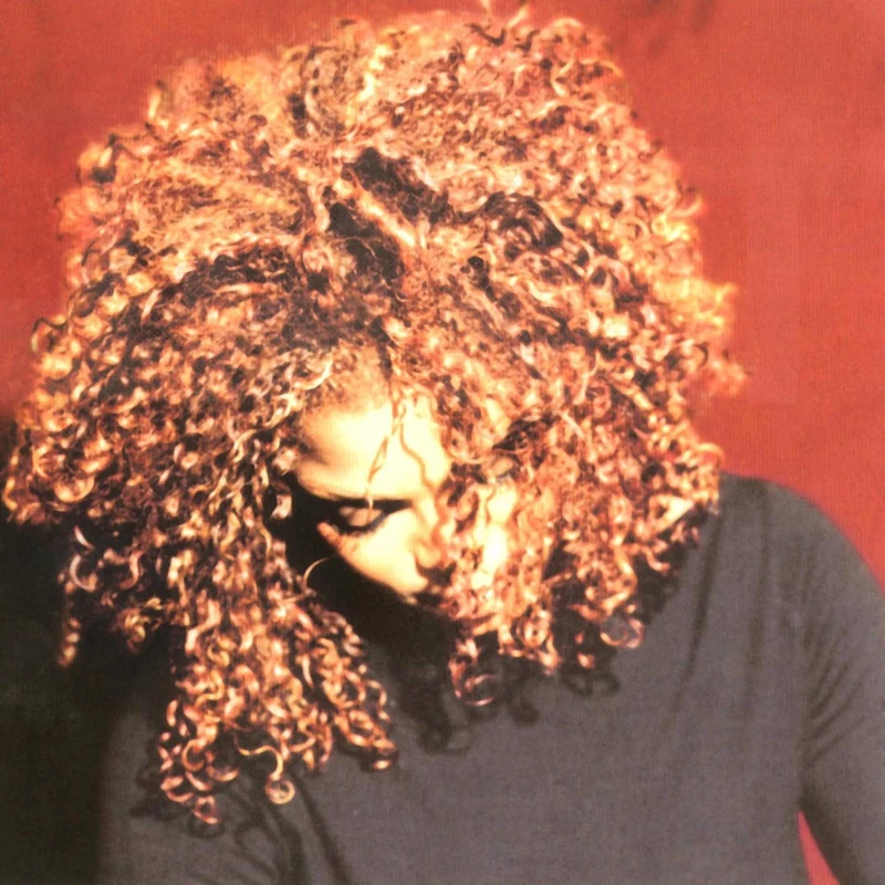 The Velvet Rope [VINYL]