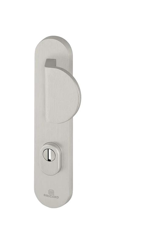 Bricard 9900071 Set of Armoured Handles on Plate Essential Bearing Kickstand + Wing for Entrance Door (for European Cylinder), Colour: Silver