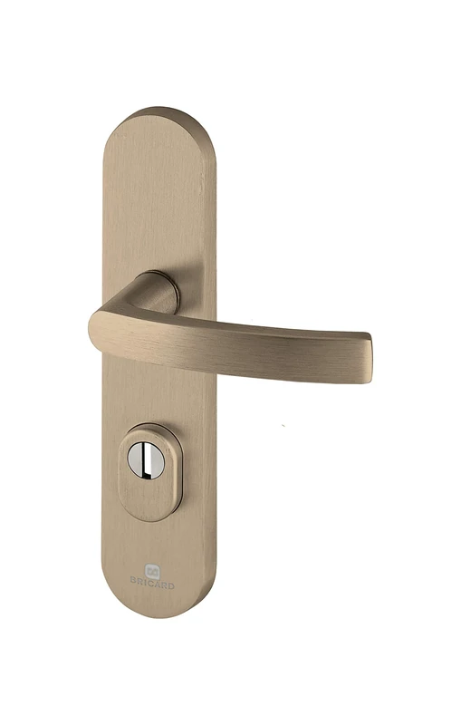 Bricard 9900191 Set of Armoured Handles on Essential Plate and Kickstand for Entrance Door (for European Cylinder), Amber Colour