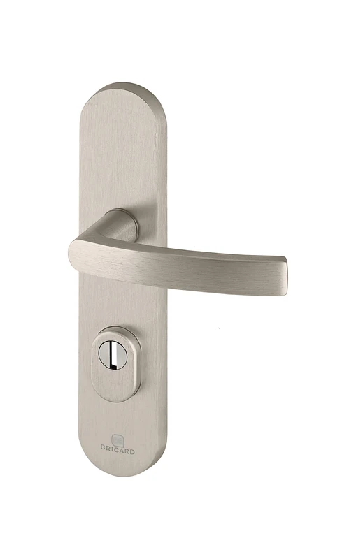 Bricard 9900151 Set of Armoured Handles on Essential Kickstand Plate + Stand for Front Door (for European Cylinders), Stainless Steel