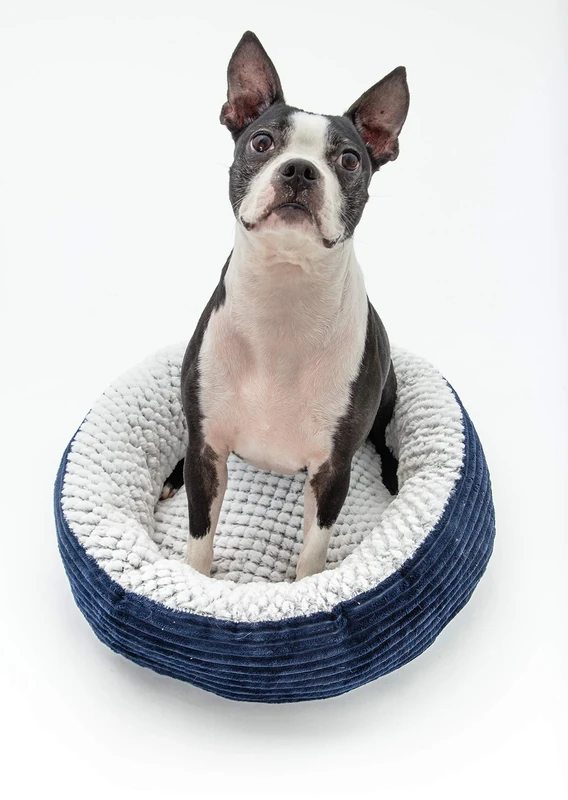 Wags N' Whiskers Caden Corduroy Pet Bed Orthopedic Large in Navy - Image 1