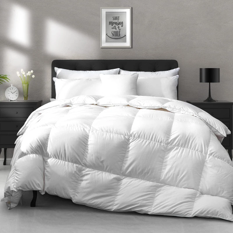 APSMILE Lightweight Goose Feather Down Comforter Queen Size - Cooling Bed Comforter, Hotel Collection 750 Fill-Power Thin Duvet Insert for Warm Weather/Hot Sleepers, 90x90, White