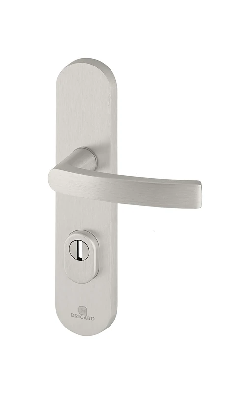 Bricard Essential 9900171 Set of Armoured Handles on Essential Plate Stand and Stand for Entrance Door (for European Cylinders), Silver, Béquille+Béquille