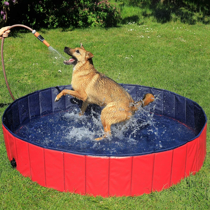 lionto Foldable dog pool made of scratch-resistant PVC material, Ø 160 cm, height 30 cm, anti-slip coating & drain plug for quick emptying, no pump required, robust children's pool, blue/red