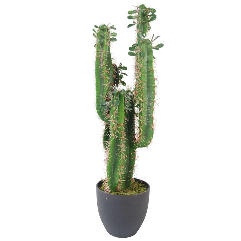 Leaf LEAF-7281 75cm Premium Artificial Cactus with Pot