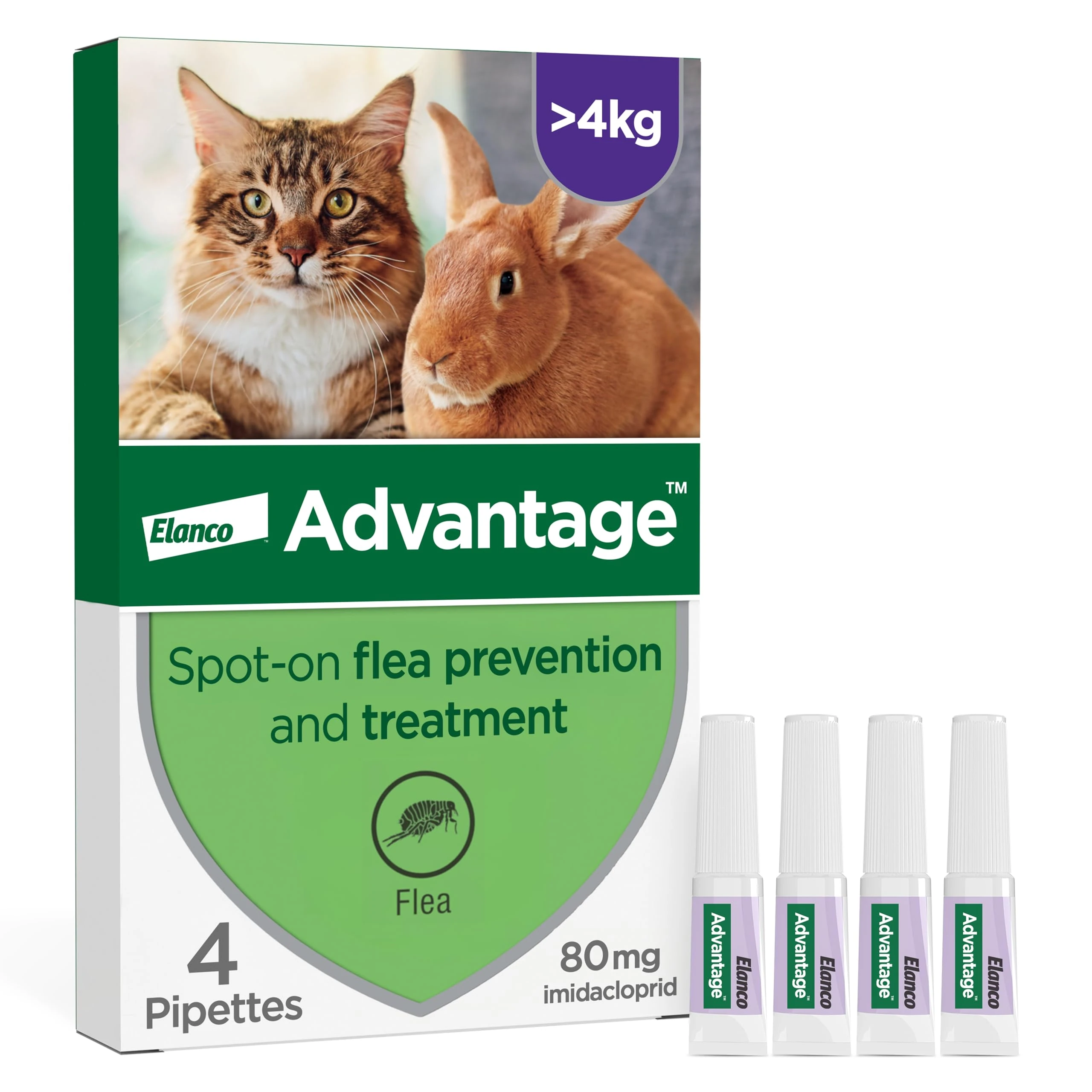 Advantage Spot On Flea Treatment For Large Cats and Rabbits Over 4kg (4 pipettes, 80mg), Kills Fleas Within 24 Hours, Prevents Further Infestation For Up To Four Weeks in Cats