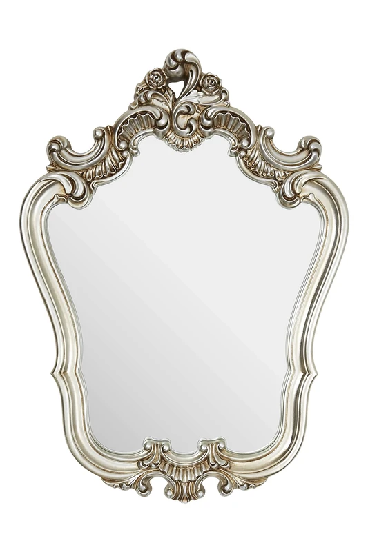 Premier Housewares Wall Mirror/Mirrors For Garden/Bathroom/Living Room With Carving Decorative Frame/Champagne Finish Wall Mounted Mirrors W75 X D9 X H102cm.