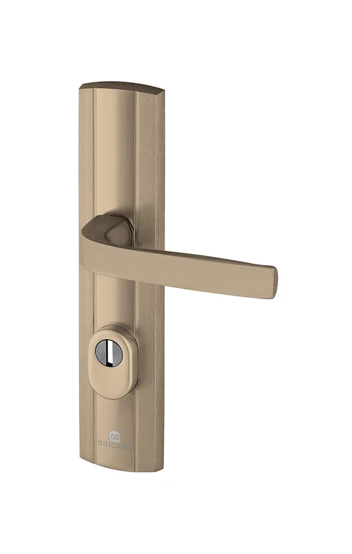 Bricard 9910191 Set of Armoured Handles on Plate Expression Kickstand + Kickstand for Entrance Door (for European Cylinder), Amber Colour