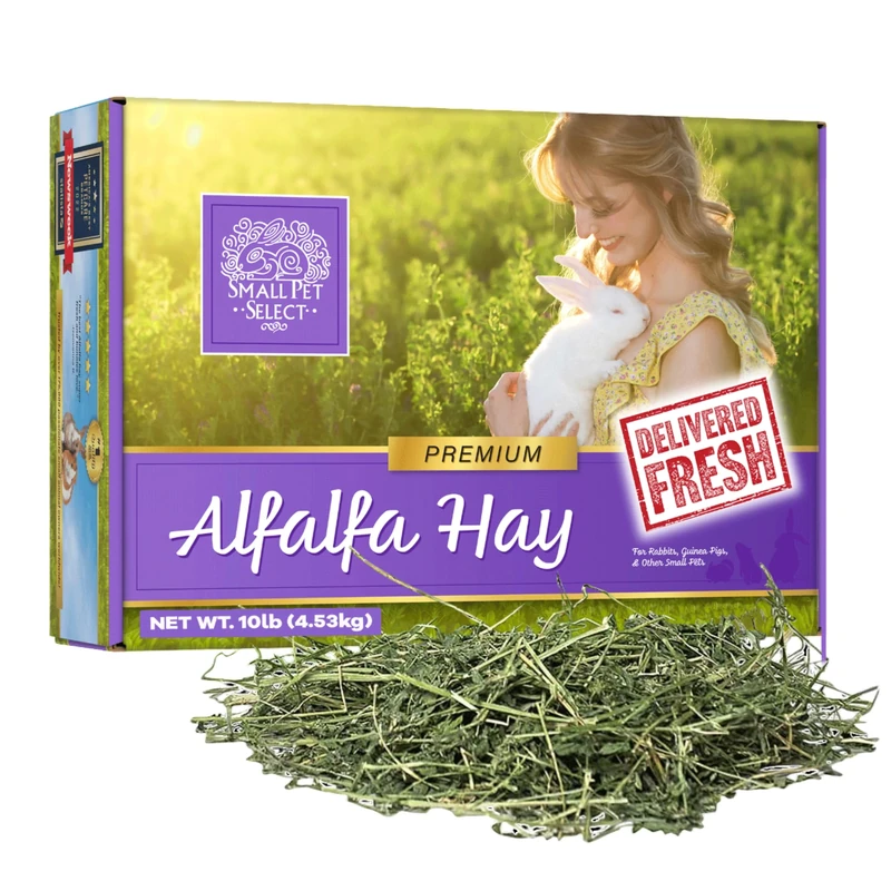 Small Pet Select Alfalfa Hay Pet Food for Young Rabbits, Guinea Pigs, Chinchillas, Tortoises and Other Small Animals, Easy to Store Box, 10lb (4.54kg)