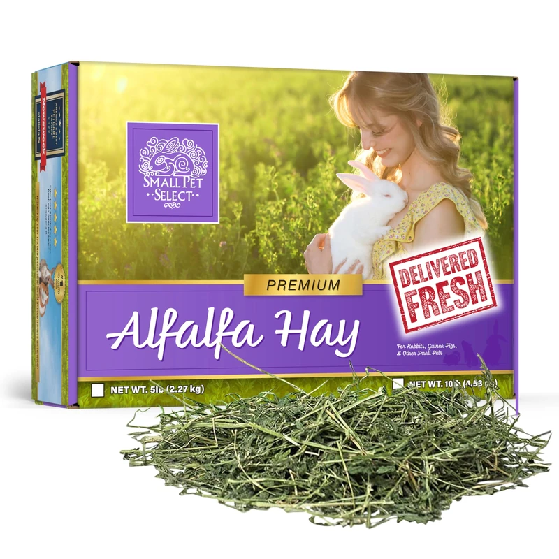 Small Pet Select Alfalfa Hay Pet Food for Young Rabbits, Guinea Pigs, Chinchillas, Tortoises and Other Small Animals, Easy to Store Box, 5lb (2.27kg)