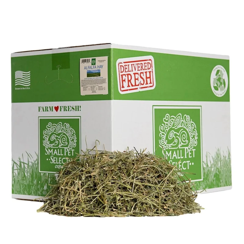 Small Pet Select Alfalfa Hay Pet Food for Young Rabbits, Guinea Pigs, Chinchillas, Tortoises and Other Small Animals, Easy to Store Box, 20lb (9.07kg)