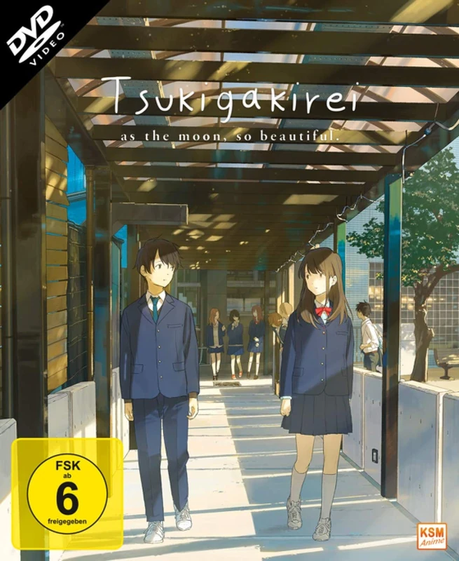 Tsuki GA Kirei-Gesamtedition. Episode 01-12+6.5 [Import]