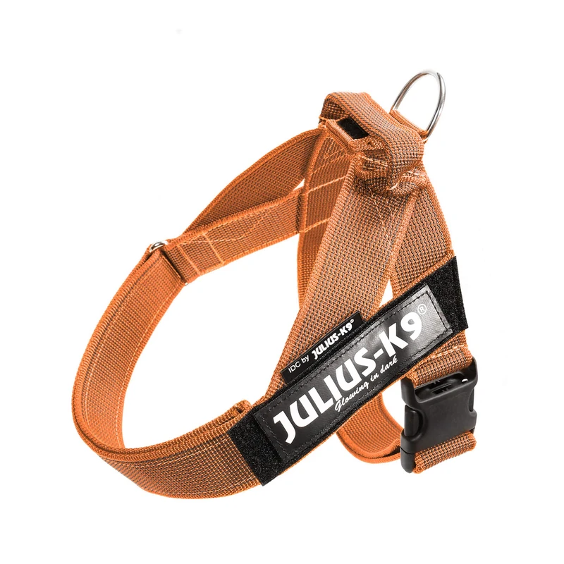 Julius-K9, IDC Color & Gray Belt Harness, Size: L / 1, Orange-Gray