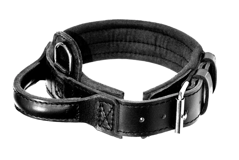 DINGO GEAR Drago Leather Dog Collar, Amortized with Strong Wide Handle, Handmade, Neck Girth 56-64 cm, for Training and Walks, Pull Protection, Soft Padding, Black (S04022)