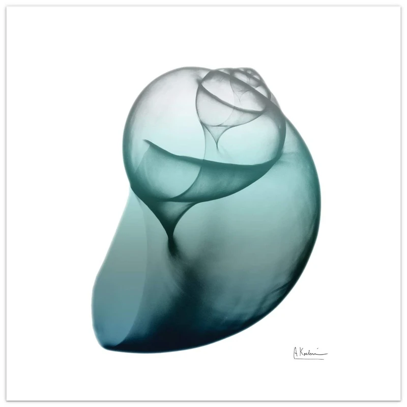 Empire Art Direct Shimmering Snail I Wall Art on Frameless Free Floating Tempered Glass Panel Ready to Hang, Living Room, Bedroom ＆ Office, 24" x 24" x 0.2"